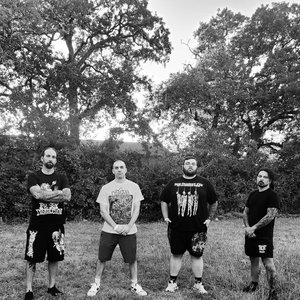 Scatology Secretion 的头像