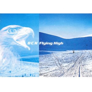 Flying High (1999 Mixes)