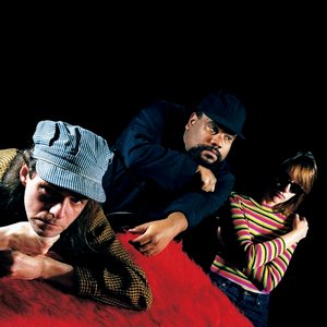 Avatar de Stew & The Negro Problem
