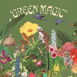 Green Magic - Single