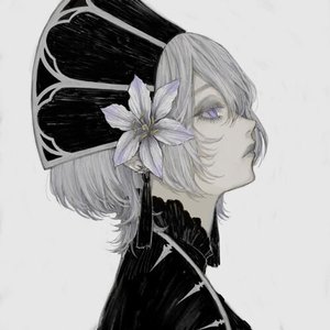 Layla. 的头像