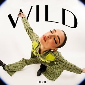 Dixie - Wild Lyrics - Zortam Music
