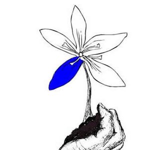 Avatar di Blue Petal