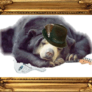 Avatar for Oipn Sepp