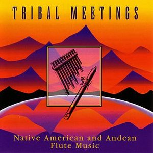 Tribal Meetings