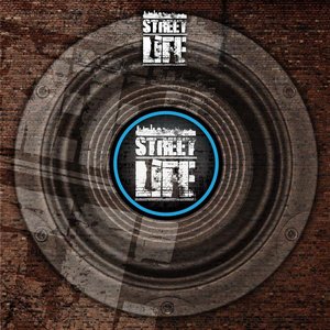 The Licence (Doctor P Remix) / Ganja Man (Serial Killaz Remix) - Single
