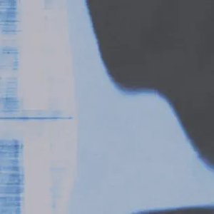 Roaches - Single