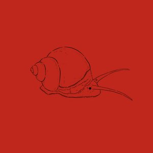 Snail EP