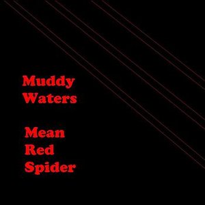 Mean Red Spider