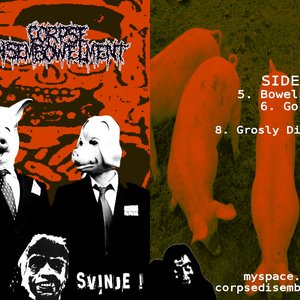 Corpse Disembowelment 的头像