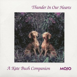 Thunder In Our Hearts (A Kate Bush Companion)