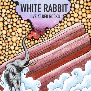 White Rabbit