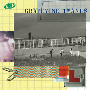 TWANGS cover
