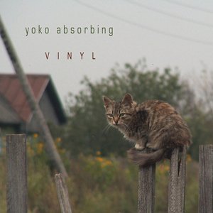 ca295 - Yoko Absorbing - Vinyl