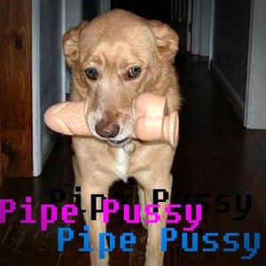 “Pipe Pussy ( You Know My Name? )”的封面