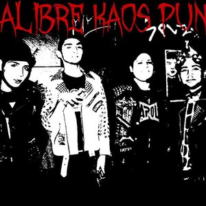 Kalibre Kaos Punk 的头像