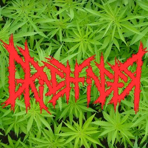 Grinchfinger 的头像