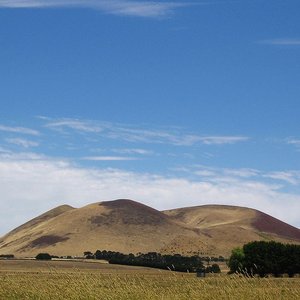 Mount Elephant 的头像