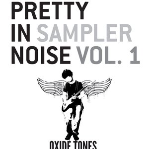Pretty In Noise Sampler Vol. 1