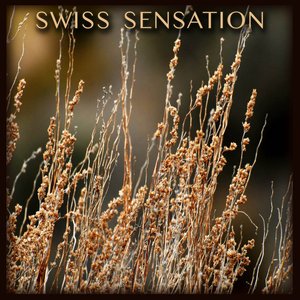 Swiss Sensation