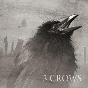 3 Crows