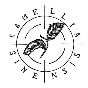 Camellia Sinensis 的头像