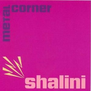 Metal Corner