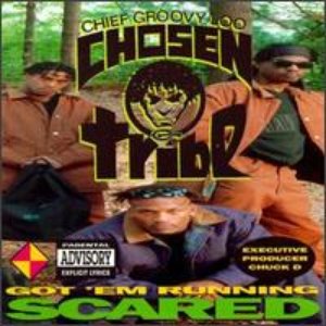 Chief Groovy Loo And The Chosen Tribe 的头像