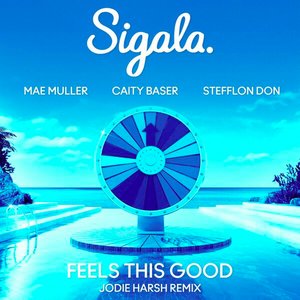 Feels This Good (feat. Stefflon Don) [Jodie Harsh Remix]