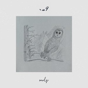 owls