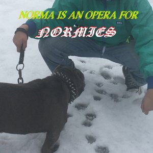 Norma is an Opera for Normies