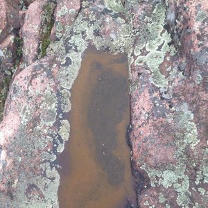 Stagnant Pool