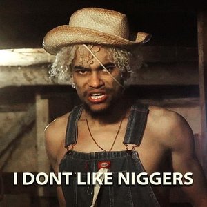 I Don't Like Niggers - Single