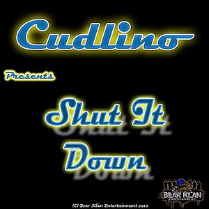 Shut It Down - Single