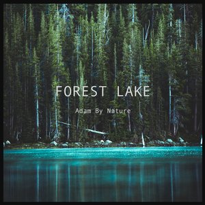 Forest Lake