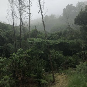 Sanctuary