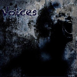 Voices - Single