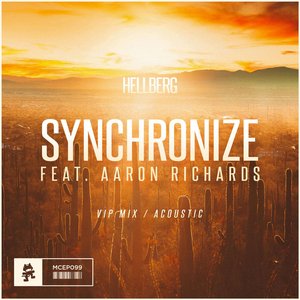 Synchronize (VIP Mix / Acoustic) [feat. Aaron Richards] - Single