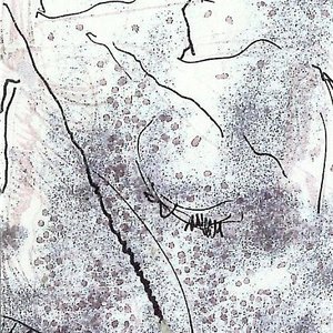 Three Simple Eyes Of The Insect Ancestor
