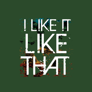 I Like It Like That - I Like It Like That Lyrics - Zortam Music