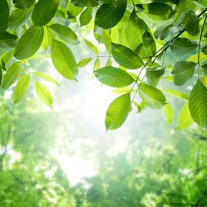 Soothing Relaxation 的头像