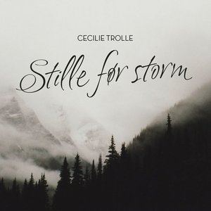 Stille Før Storm - Single