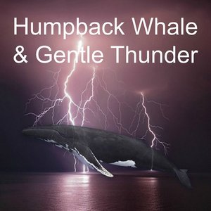 Humpback Whale and Gentle Thunder Sounds