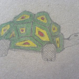 Avatar für chillkröten