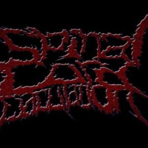 Spinal Cord Ejaculation 的头像