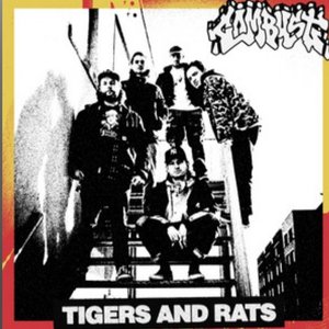 Tigers and Rats