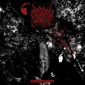 Hallucinatory Forest Rituals
