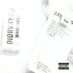 Waistband - Single