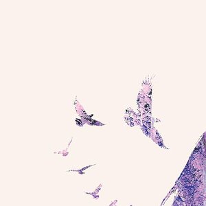 The Girl