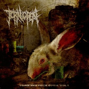 TORN THE FUCK OPEN Vol. 1